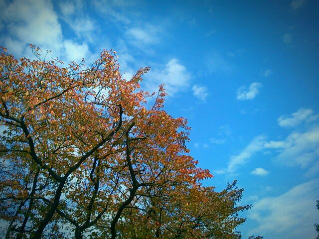 f:id:nonamed:20161112231818j:plain f:id:nonamed:20161112231818j:plain