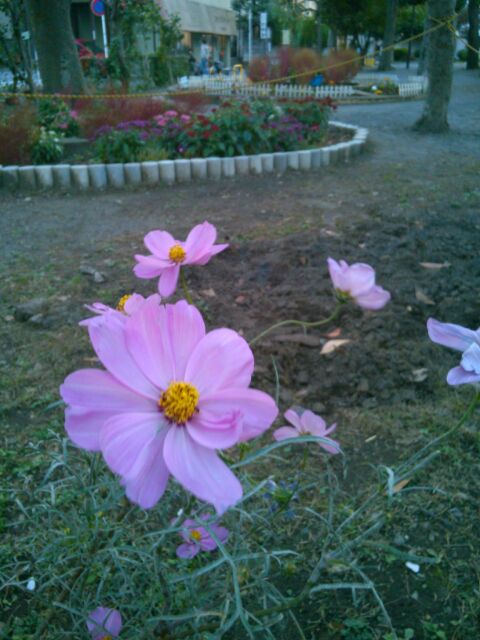 f:id:nonamed:20161122102929j:plain