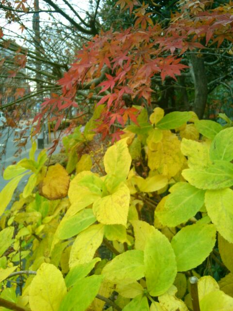 f:id:nonamed:20161222102358j:plain