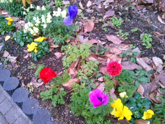 f:id:nonamed:20161222102434j:plain