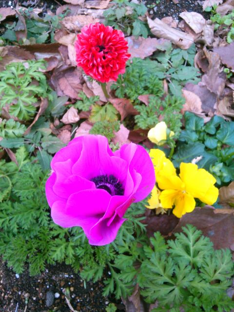 f:id:nonamed:20161222102458j:plain