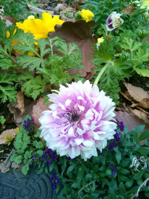 f:id:nonamed:20161222102610j:plain