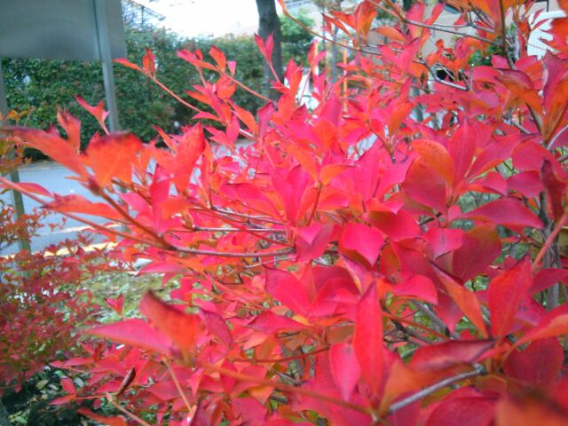 f:id:nonamed:20161224102820j:plain f:id:nonamed:20161224102820j:plain