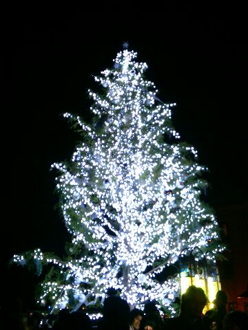 f:id:nonamed:20161226123818j:plain