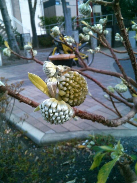 f:id:nonamed:20161231030408j:plain