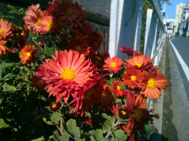 f:id:nonamed:20170129231839j:plain f:id:nonamed:20170129231839j:plain