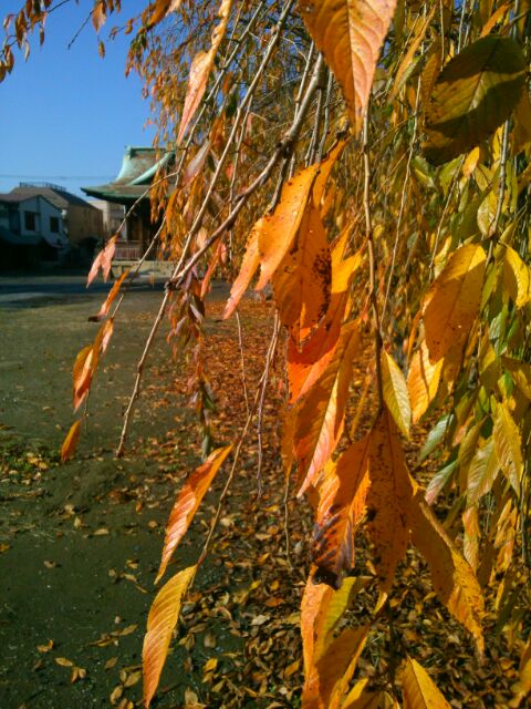 f:id:nonamed:20170129232224j:plain f:id:nonamed:20170129232224j:plain