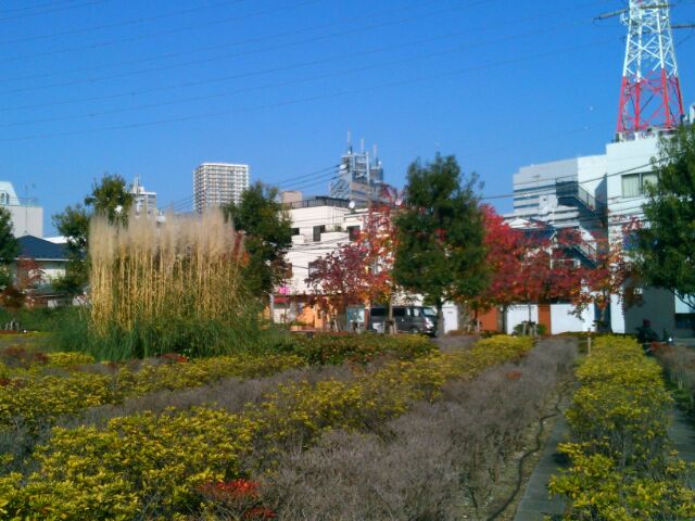 f:id:nonamed:20170129232411j:plain f:id:nonamed:20170129232411j:plain