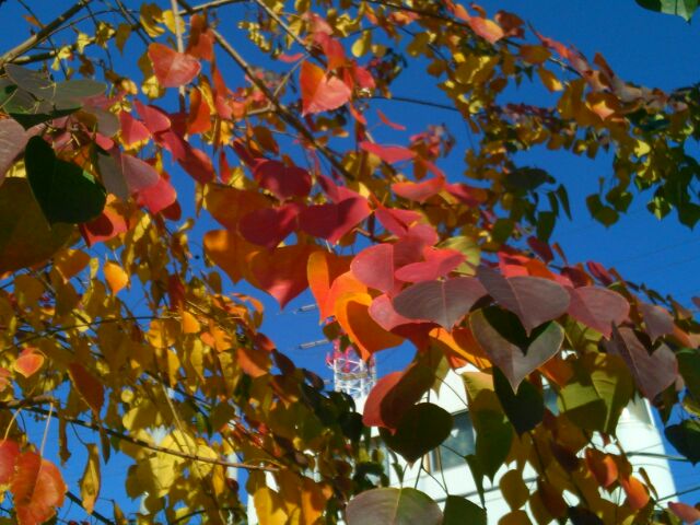 f:id:nonamed:20170129232559j:plain f:id:nonamed:20170129232559j:plain