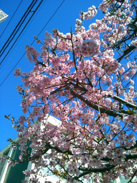 f:id:nonamed:20170213115006j:plain