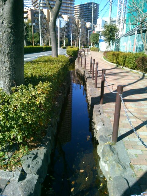 f:id:nonamed:20170213115148j:plain