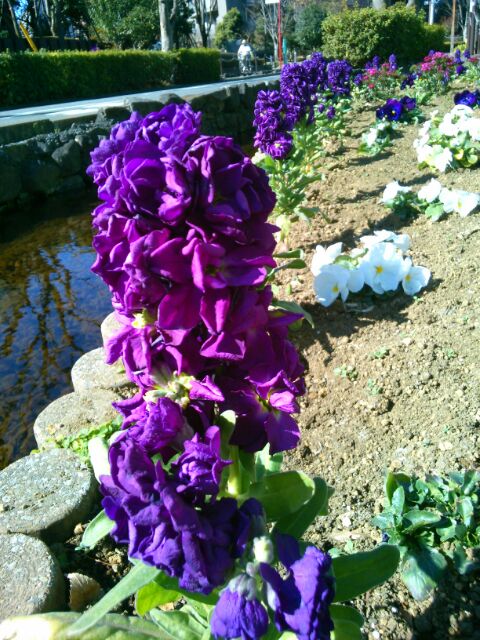 f:id:nonamed:20170213115305j:plain