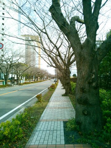 f:id:nonamed:20170218152330j:plain