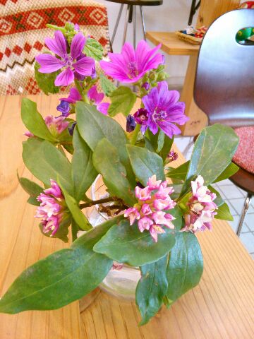 f:id:nonamed:20170228082100j:plain