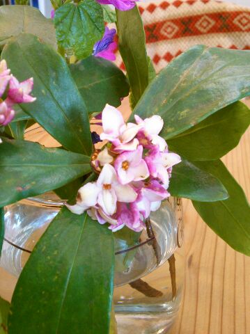 f:id:nonamed:20170228082152j:plain