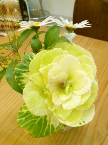 f:id:nonamed:20170228082245j:plain