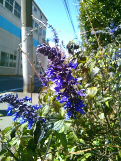 f:id:nonamed:20170309210630j:plain