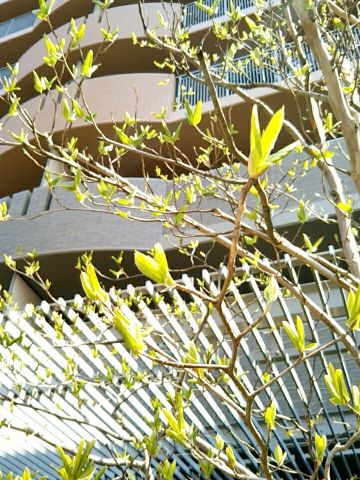 f:id:nonamed:20170328140052j:plain