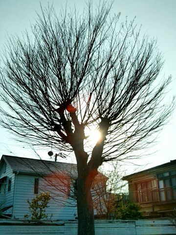 f:id:nonamed:20170330205900j:plain