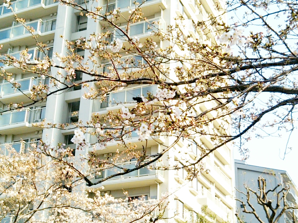 f:id:nonamed:20170404151620j:plain