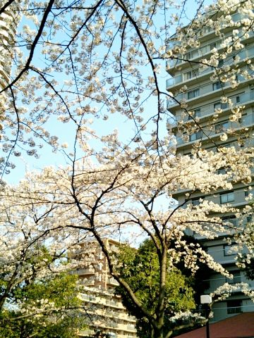f:id:nonamed:20170406064619j:plain