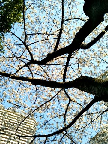 f:id:nonamed:20170406064629j:plain