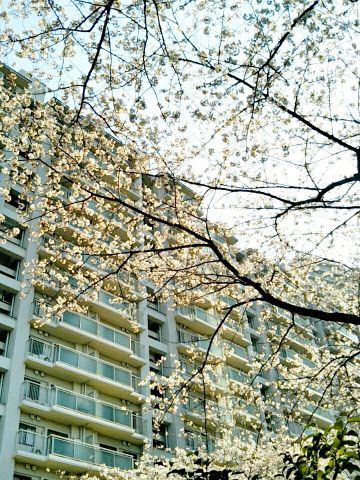 f:id:nonamed:20170406064638j:plain