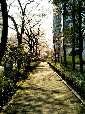 f:id:nonamed:20170406064719j:plain