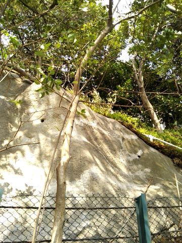 f:id:nonamed:20170407060527j:plain