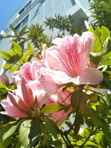 f:id:nonamed:20170416163037j:plain