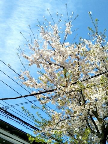 f:id:nonamed:20170417075639j:plain