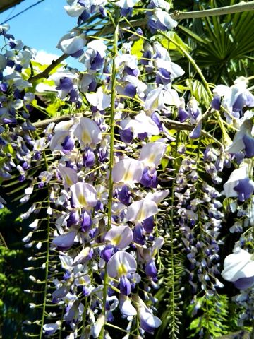 f:id:nonamed:20170419154537j:plain