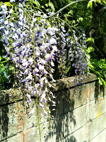 f:id:nonamed:20170419154644j:plain