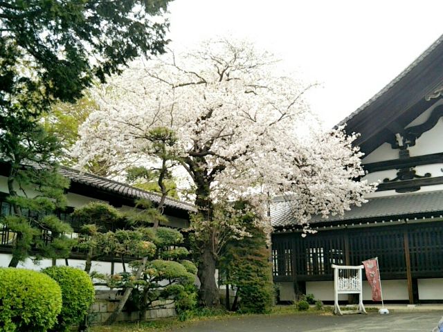 f:id:nonamed:20170423220038j:plain