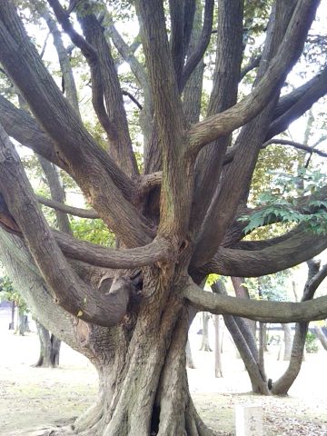 f:id:nonamed:20170423220106j:plain