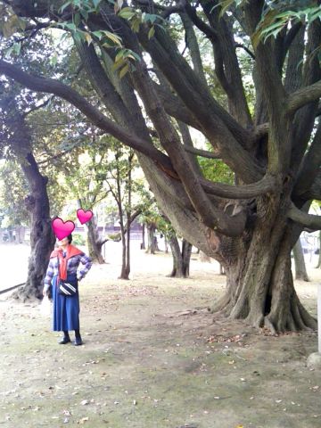f:id:nonamed:20170423220420j:plain