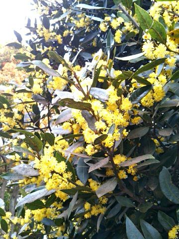 f:id:nonamed:20170423221041j:plain
