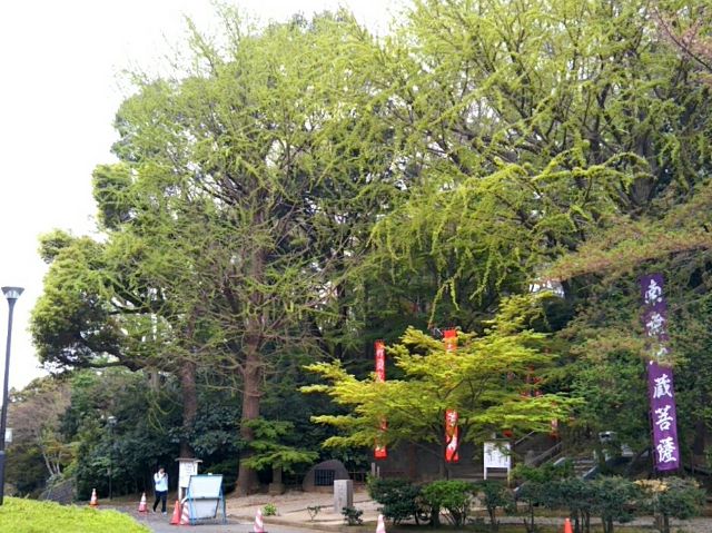 f:id:nonamed:20170423223003j:plain