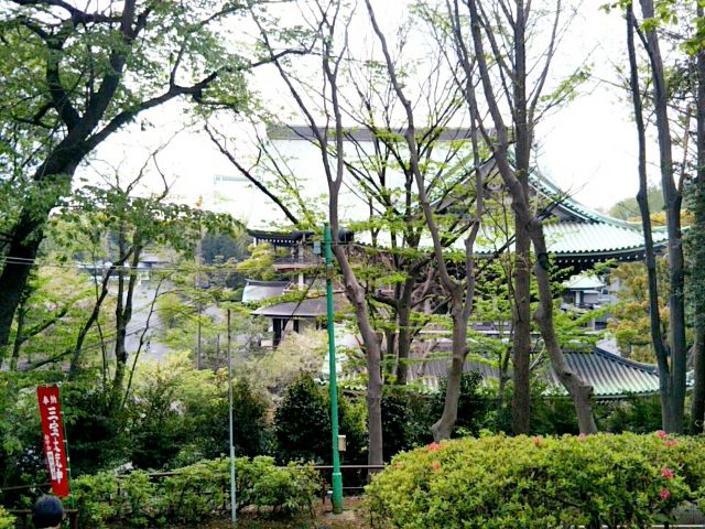 f:id:nonamed:20170423224624j:plain