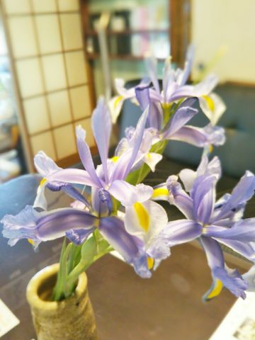 f:id:nonamed:20170426205955j:plain