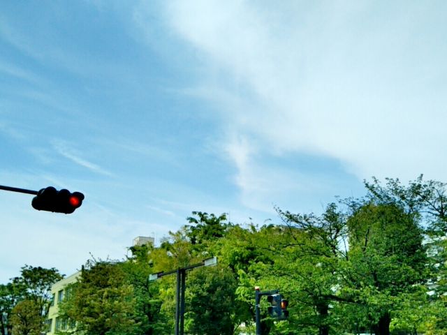 f:id:nonamed:20170504164155j:plain f:id:nonamed:20170504164155j:plain