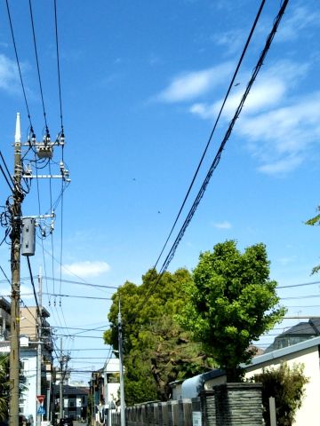 f:id:nonamed:20170505123640j:plain