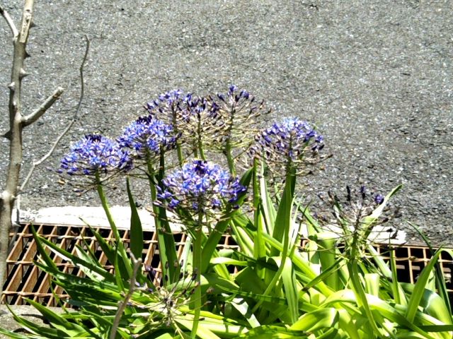 f:id:nonamed:20170506154946j:plain