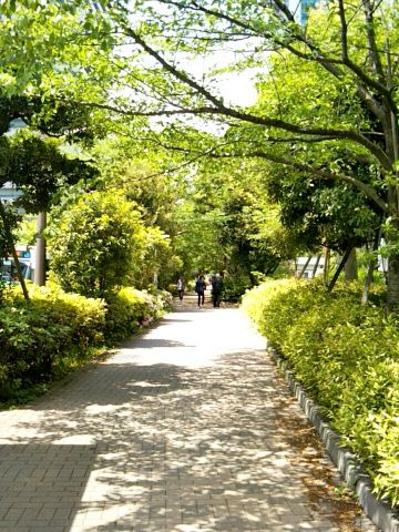 f:id:nonamed:20170506155448j:plain