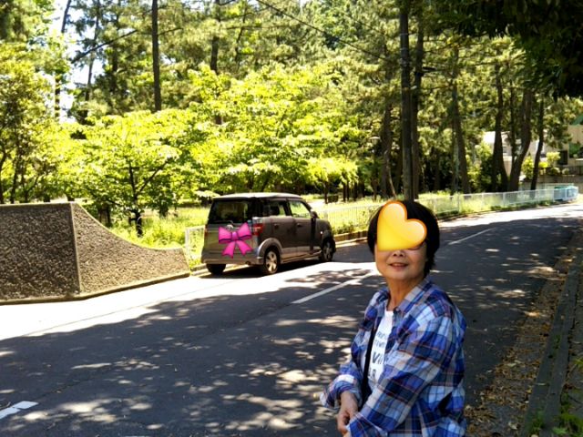 f:id:nonamed:20170525002256j:plain