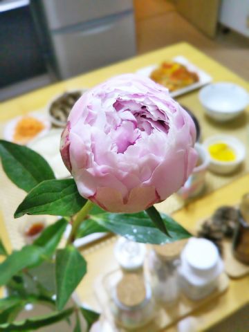 f:id:nonamed:20170601110055j:plain