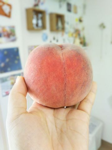 f:id:nonamed:20170723153935j:plain f:id:nonamed:20170723153935j:plain