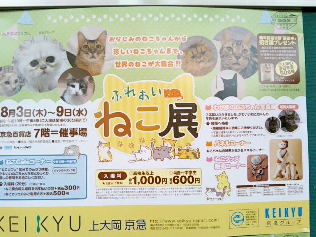 f:id:nonamed:20170806001255j:plain