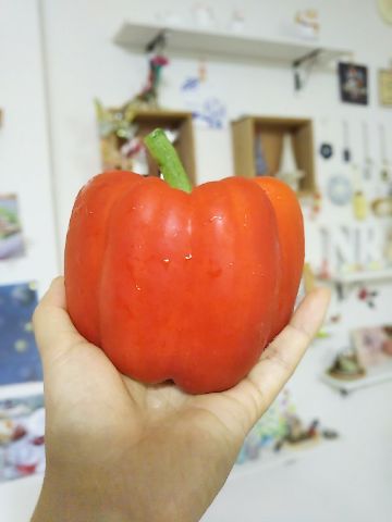 f:id:nonamed:20170812234815j:plain