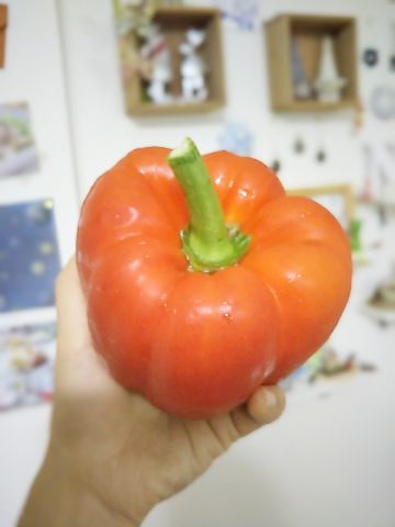 f:id:nonamed:20170812234909j:plain